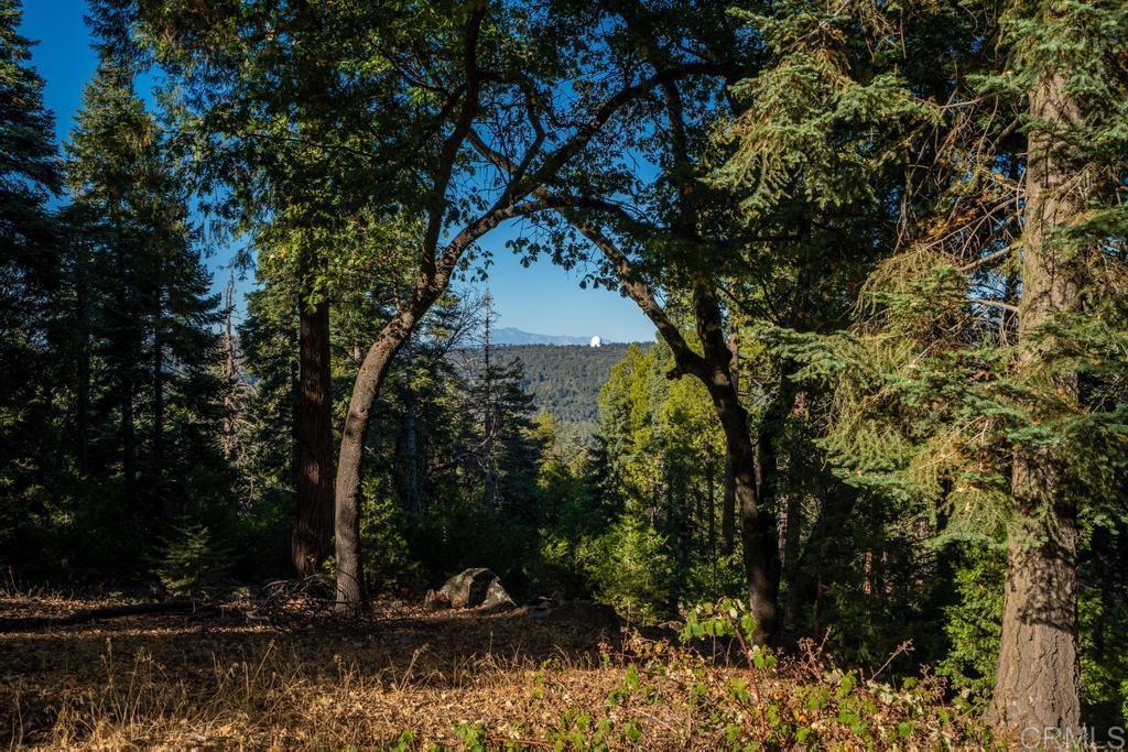 3413 Fern Meadow Road Property Photo 53
