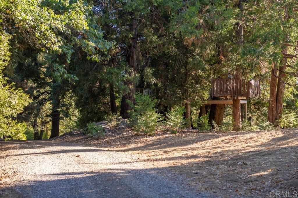 3413 Fern Meadow Road Property Photo 56