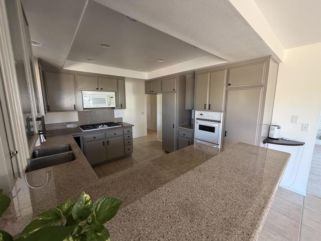 449 Alviso Way Property Photo 51