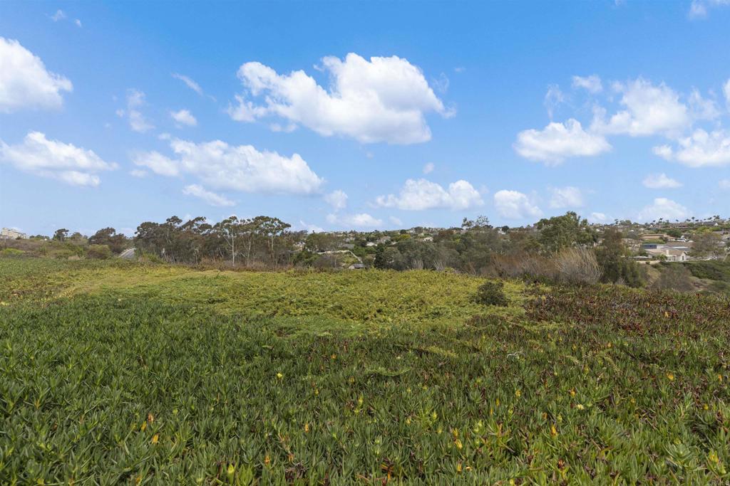 7302 Lantana Terrace Property Photo 44