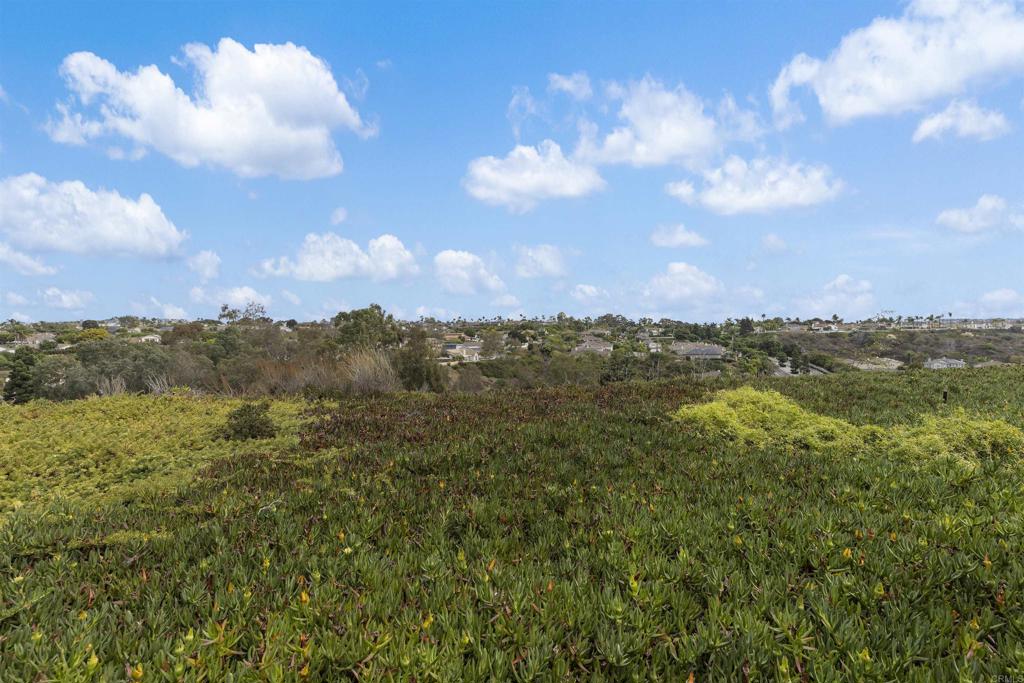 7302 Lantana Terrace Property Photo 45
