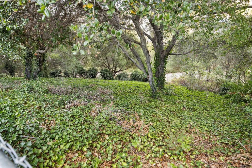 450 Masonic Court Property Photo 33