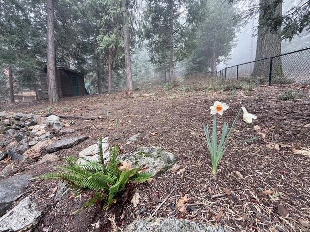 22258 Crestline Road Property Photo 48