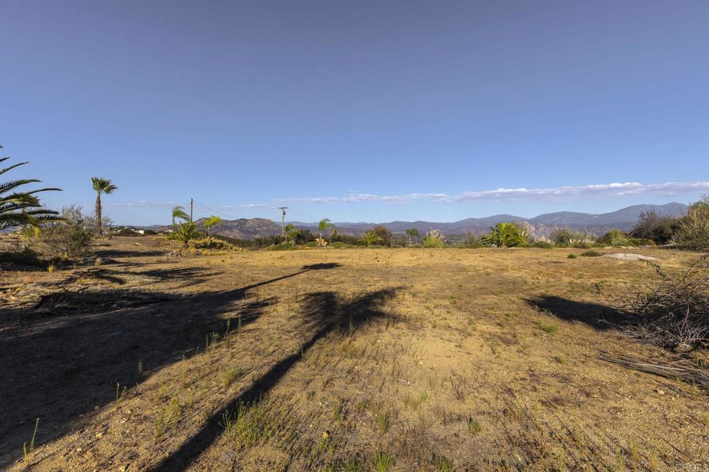 24807 Thunder Mountain Road Property Photo 5