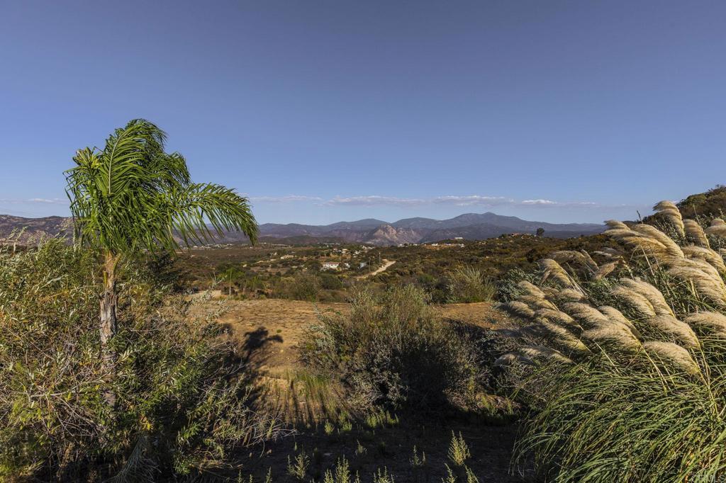 24807 Thunder Mountain Road Property Photo 19