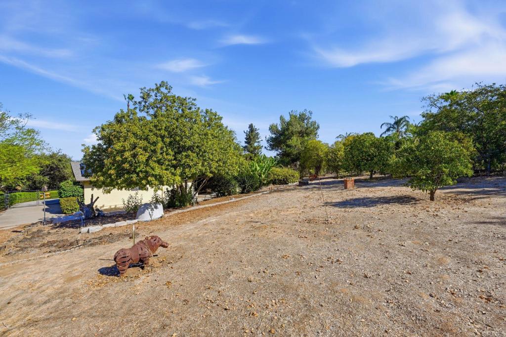 1427 El Nido Drive Property Photo 47