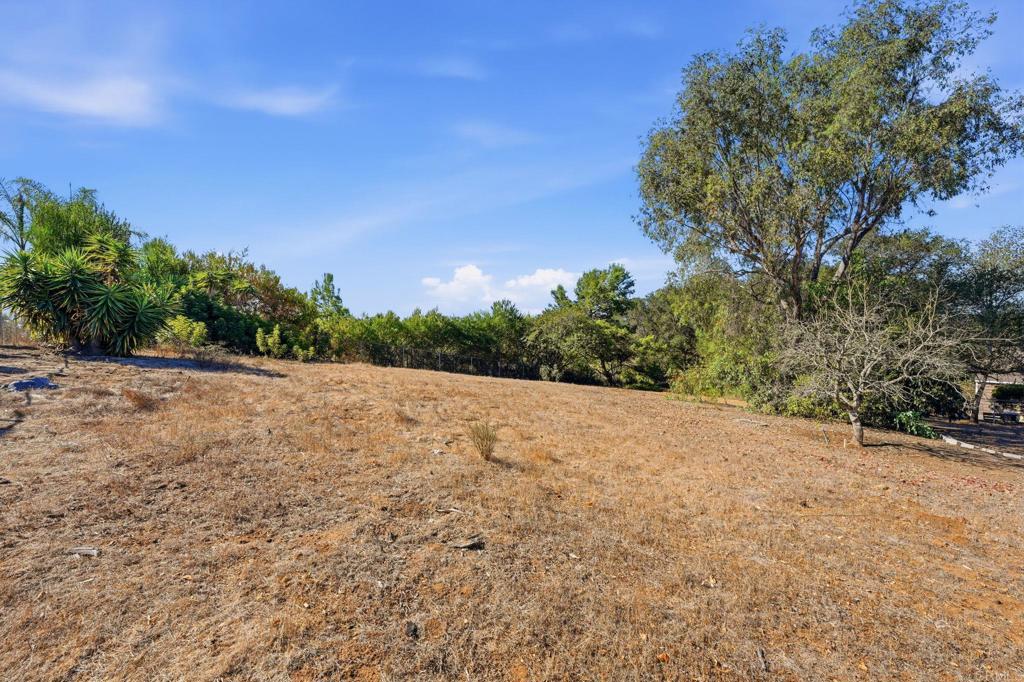 1427 El Nido Drive Property Photo 48
