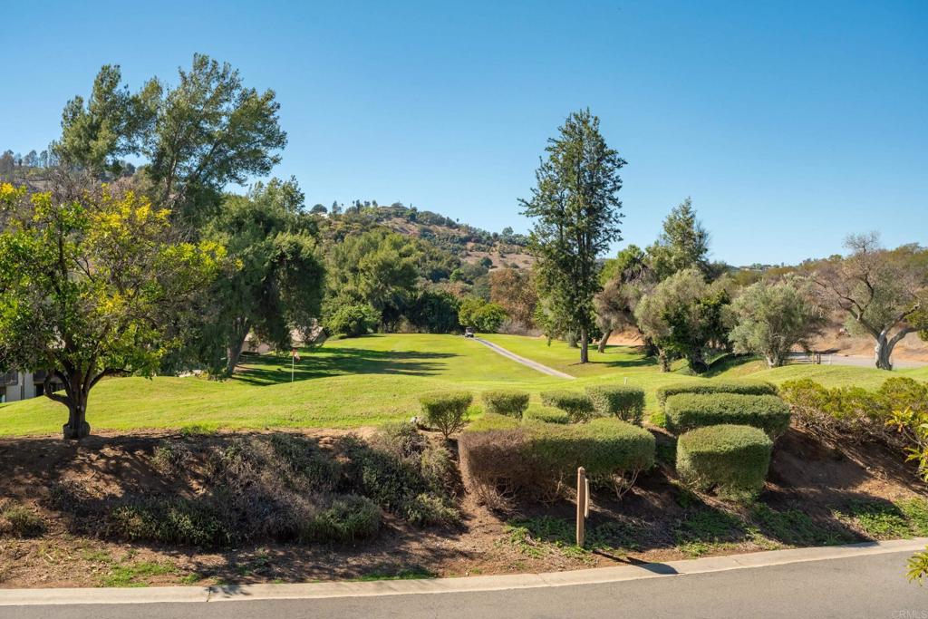 1624 Pala Lake Dr Property Photo 31