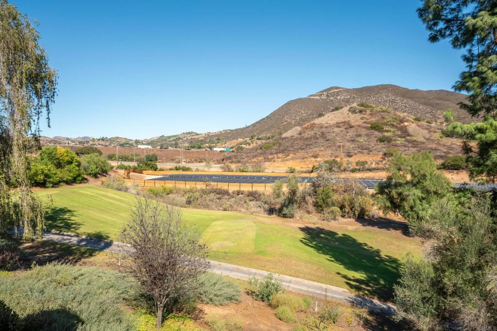 1624 Pala Lake Dr Property Photo 32