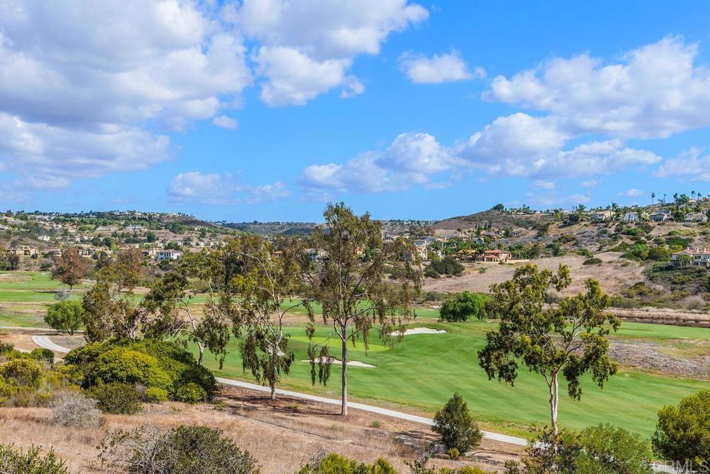 6832 Estrella De Mar Road Property Photo 12