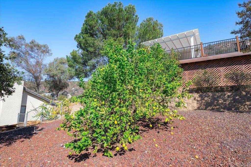 24360 Rutherford Road Property Photo 30