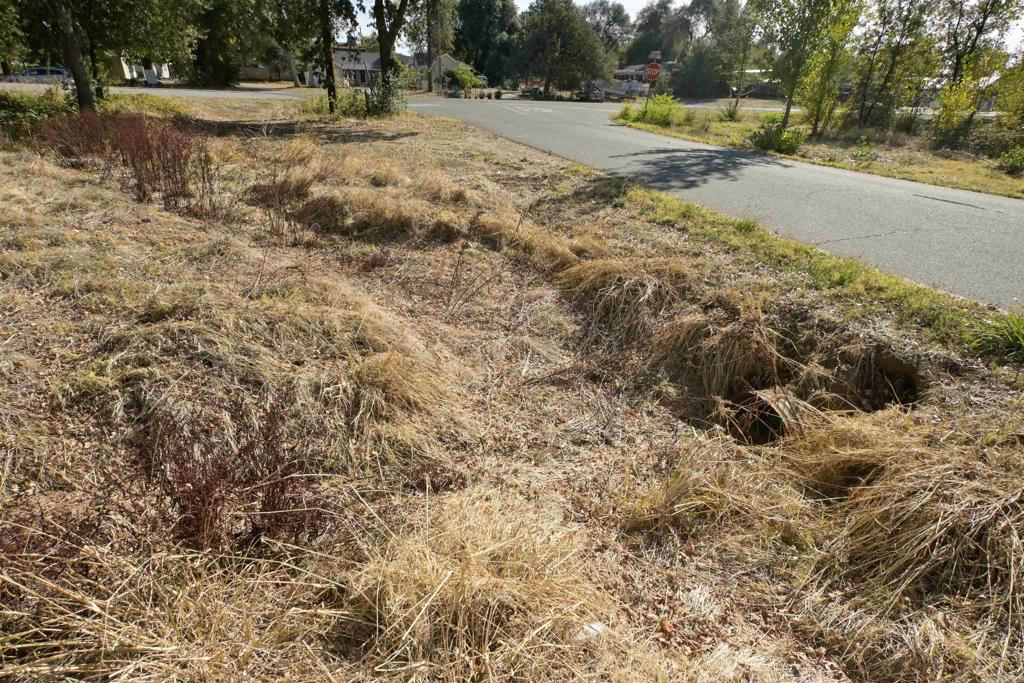0 Bonneville Street Property Photo 25
