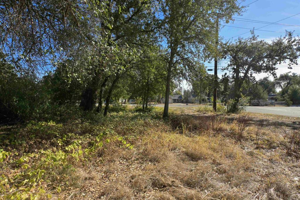 0 Bonneville Street Property Photo 29
