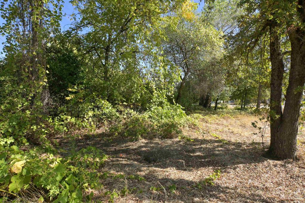 0 Bonneville Street Property Photo 32