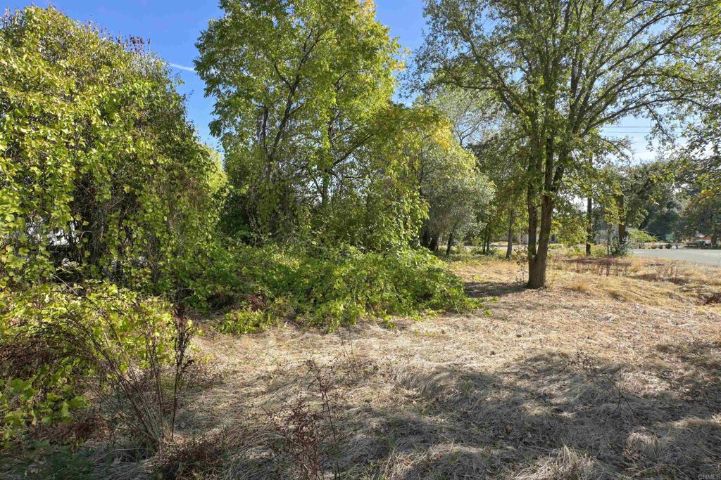 0 Bonneville Street Property Photo 34