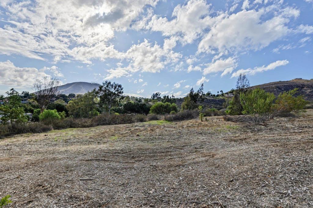 0 Questhaven Rd Property Photo 32