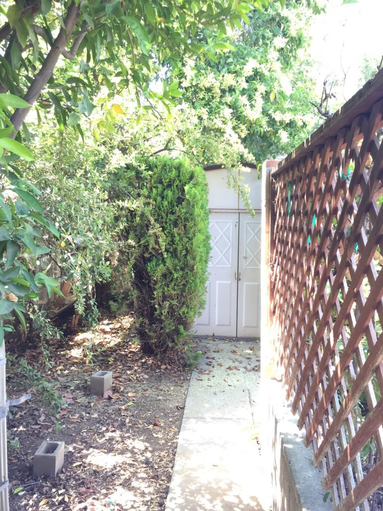 1040 Walnut Avenue Property Photo 9