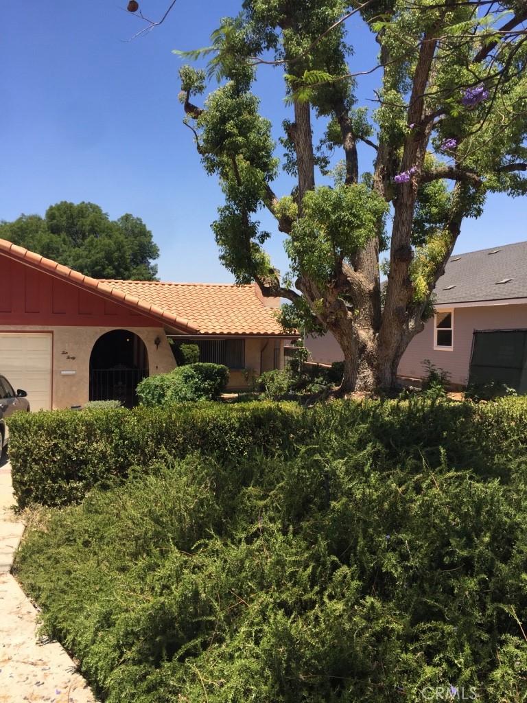 1040 Walnut Avenue Property Photo 15
