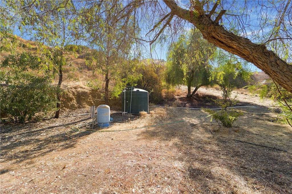 11085 Canyon Circle Property Photo 34