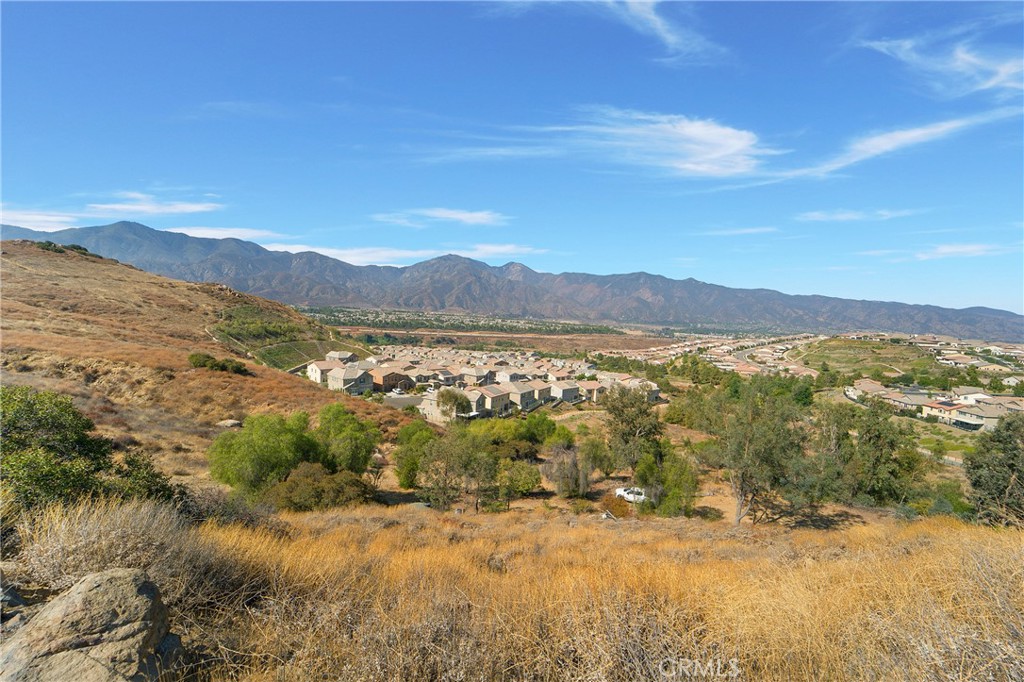 11085 Canyon Circle Property Photo 43