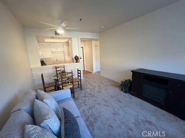 435 S. Anaheim Hills Rd Property Photo 17