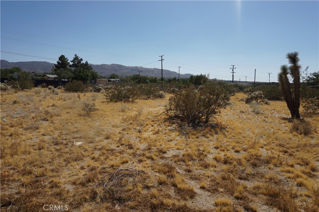 6101 Scenic Drive Property Photo 1