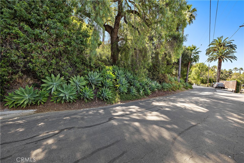 11393 La Vereda Drive Property Photo 41