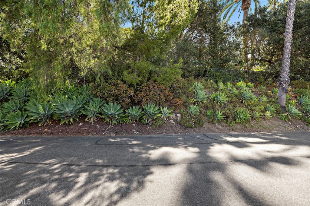 11393 La Vereda Drive Property Photo 42