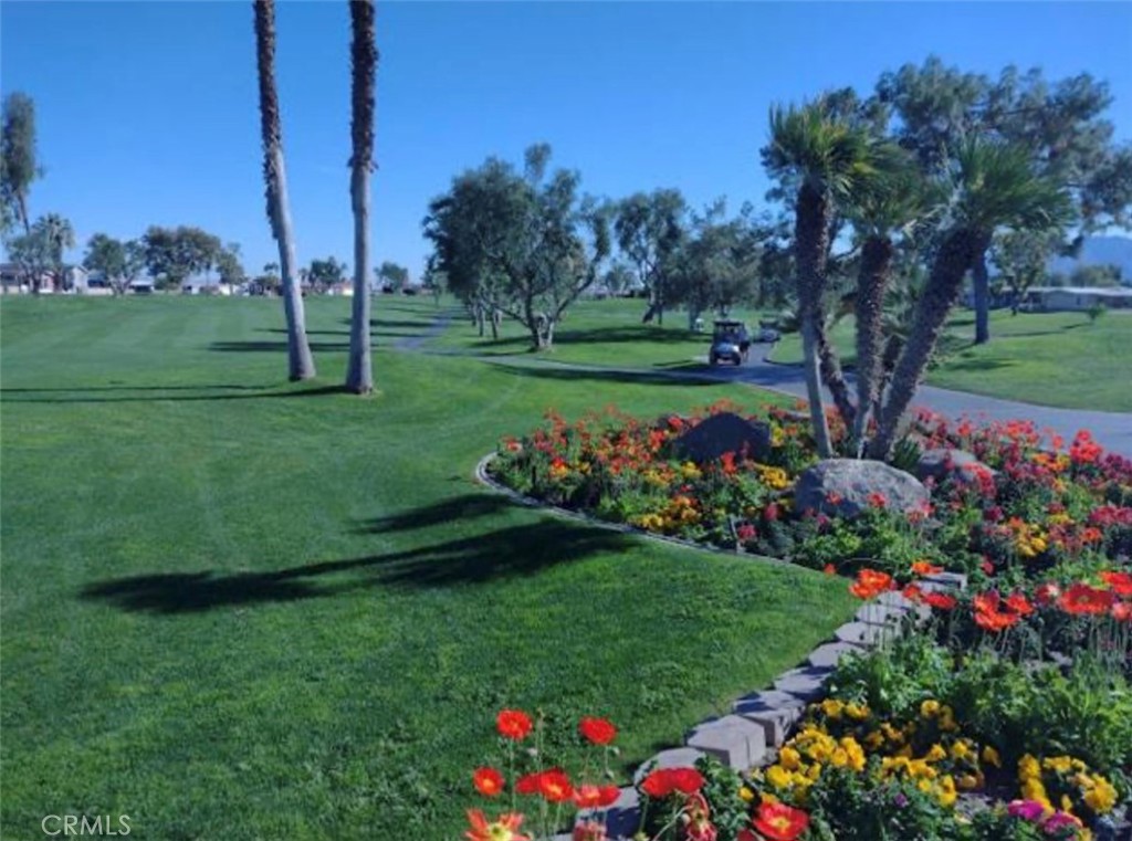 38785 Desert Greens Drive E Property Photo 12
