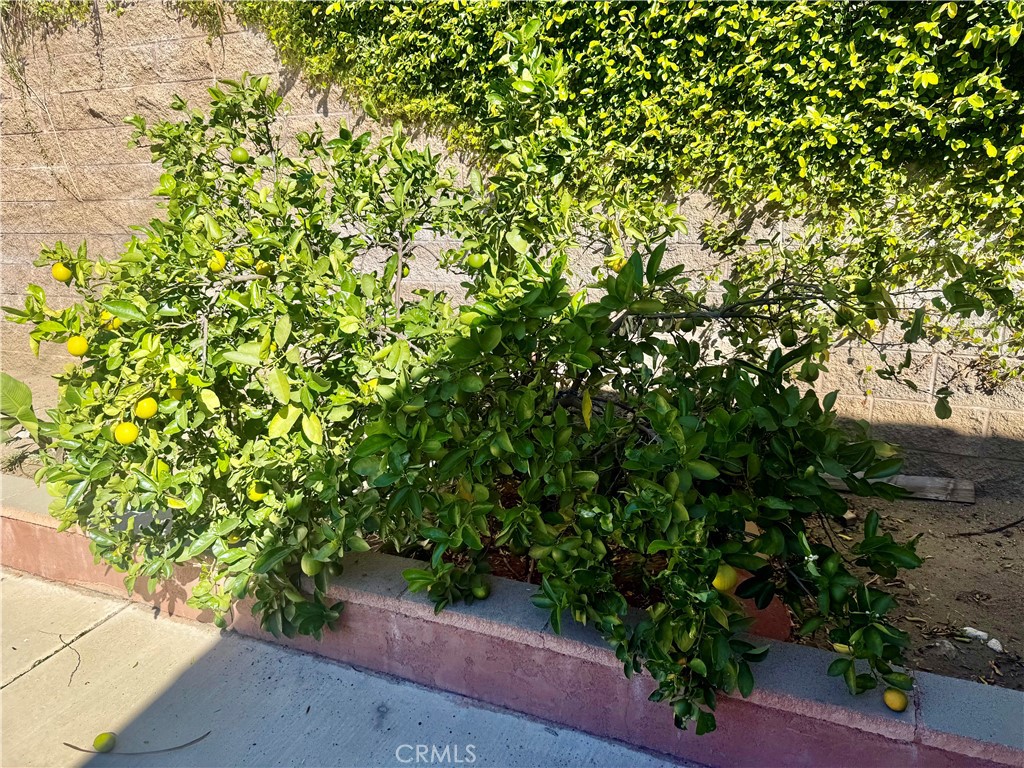 5982 Harrison Property Photo 6