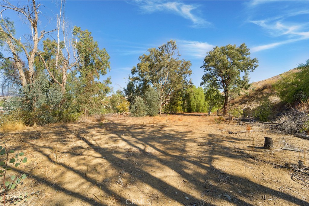 11085 Canyon Circle Property Photo 37