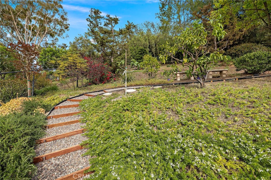 27562 Lost Trail Drive Property Photo 59