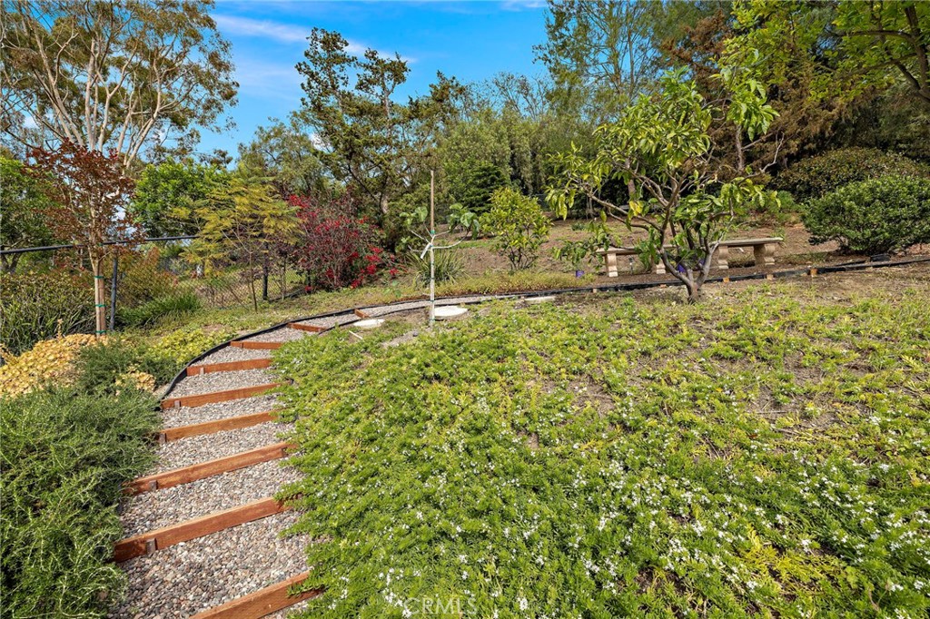 27562 Lost Trail Drive Property Photo 59