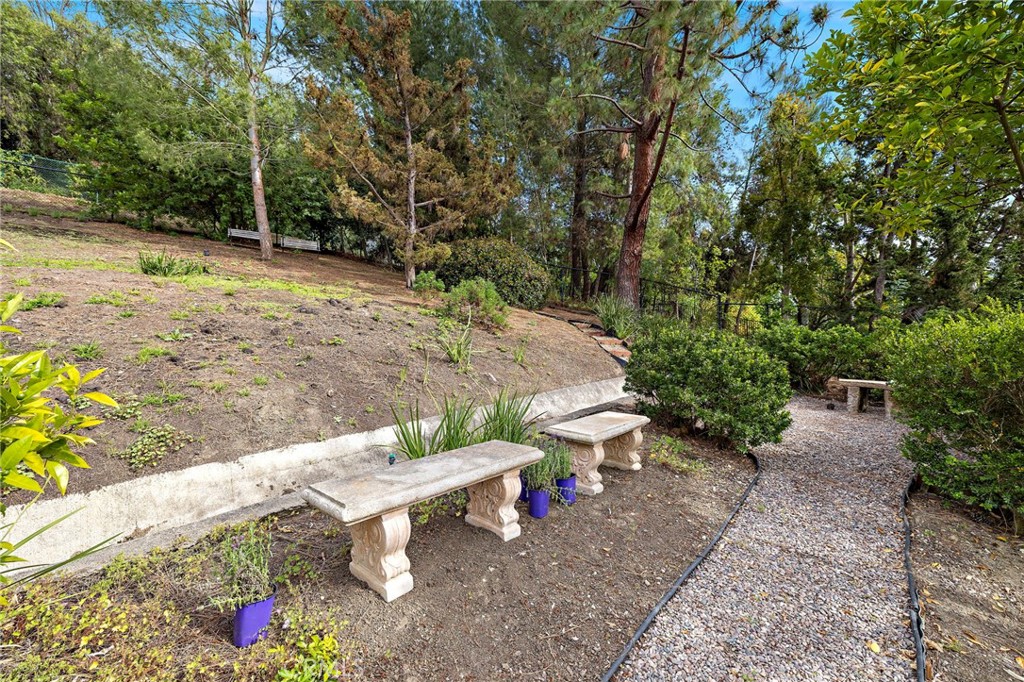 27562 Lost Trail Drive Property Photo 60