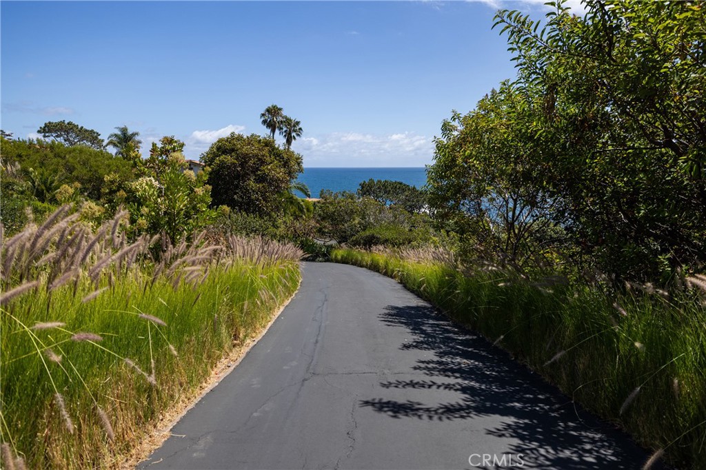 32227 Coast Hwy Property Photo 3