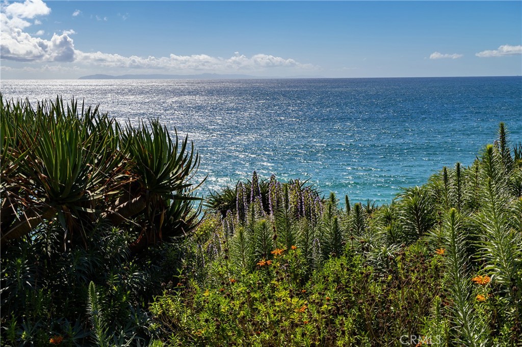 32227 Coast Hwy Property Photo 13