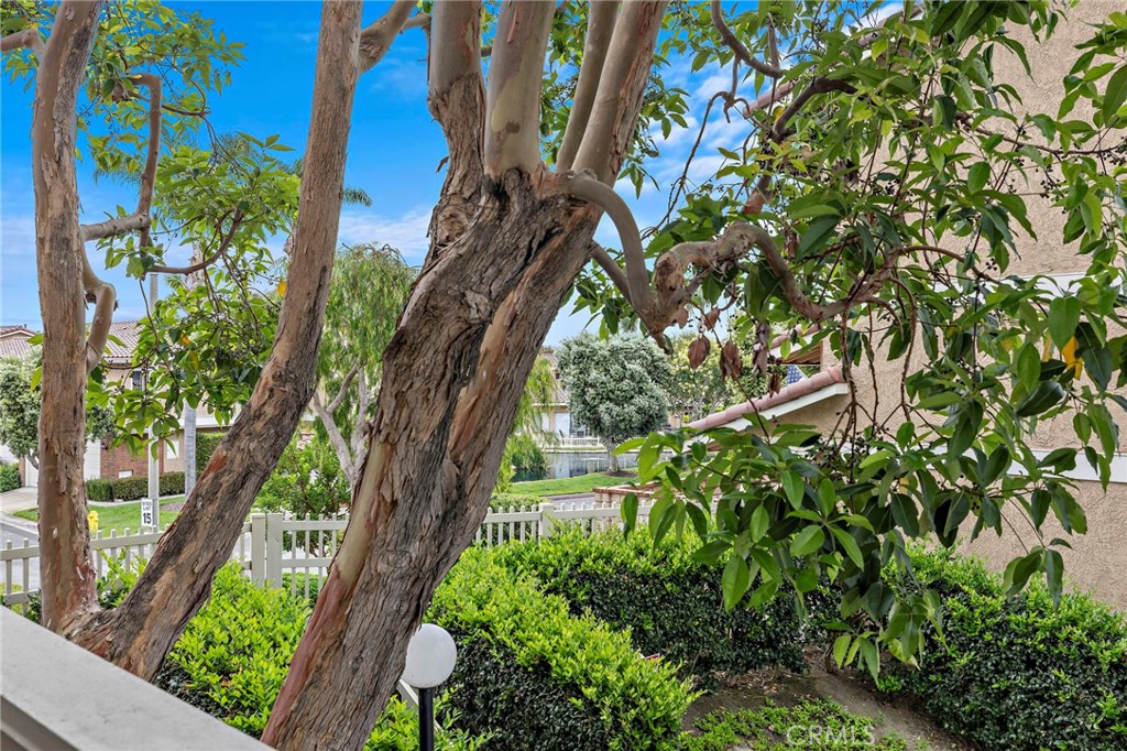 21038 Poolside Property Photo 23