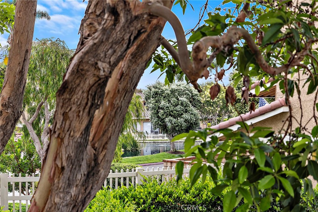 21038 Poolside Property Photo 24