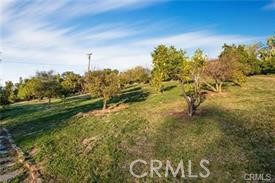 2440 Los Alisos Property Photo 16