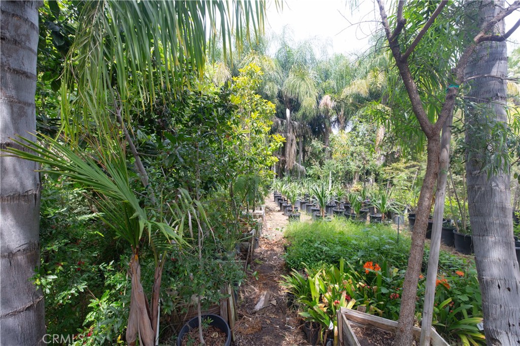 2211 Desire Avenue Property Photo 4