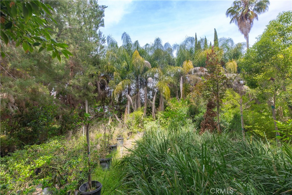 2211 Desire Avenue Property Photo 5