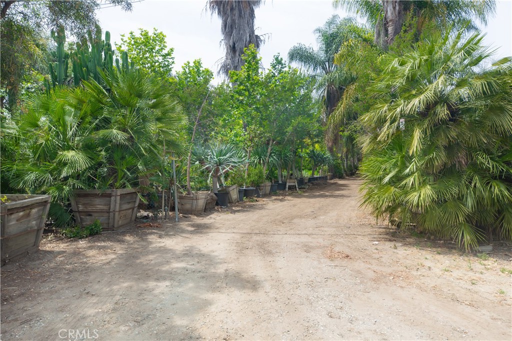 2211 Desire Avenue Property Photo 6