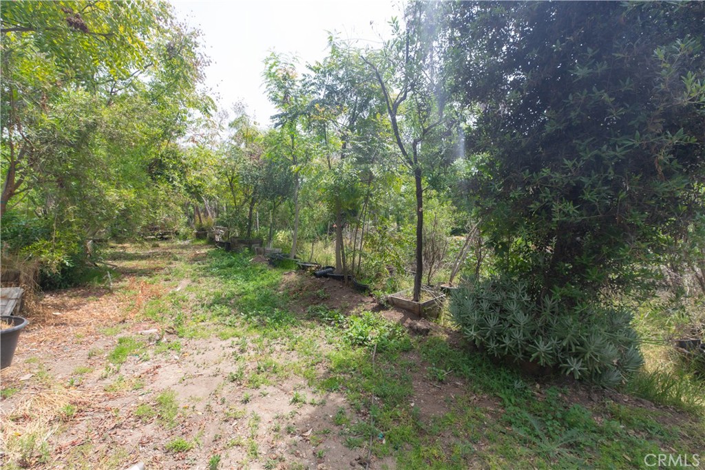 2211 Desire Avenue Property Photo 9