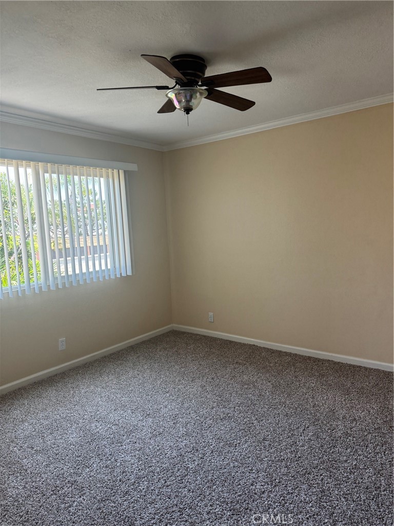 7667 Stage Road 75 Property Photo 8