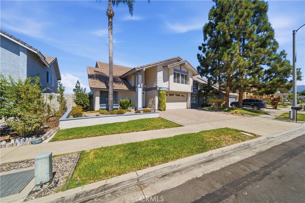 25211 Cinnamon Property Photo 2
