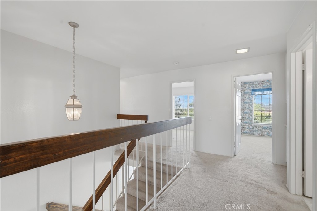 25211 Cinnamon Property Photo 21
