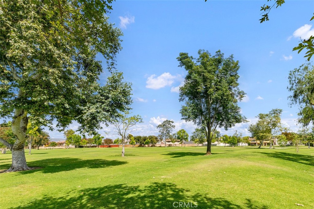 35 Lindberg Property Photo 28