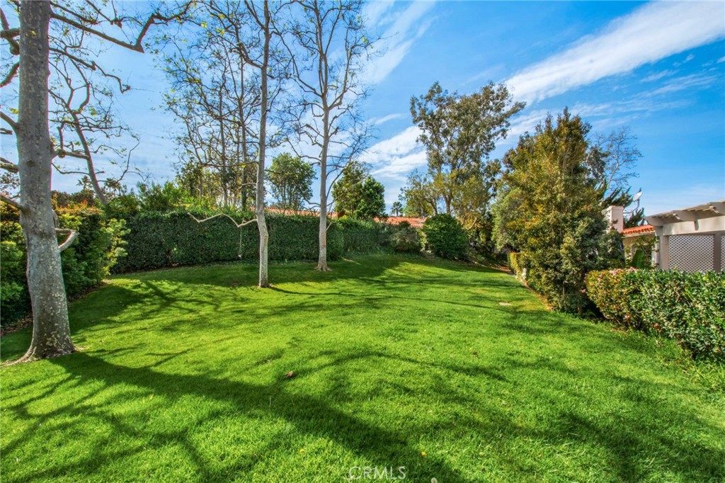2952 Quedada Property Photo 6
