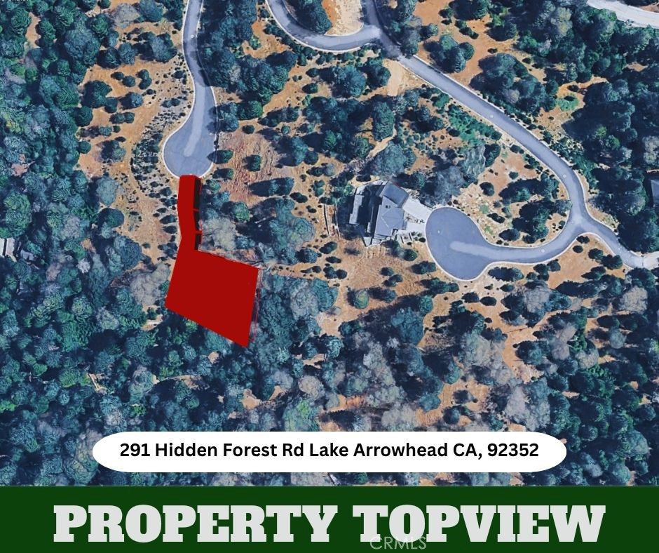 291 Hidden Forest Property Photo 4