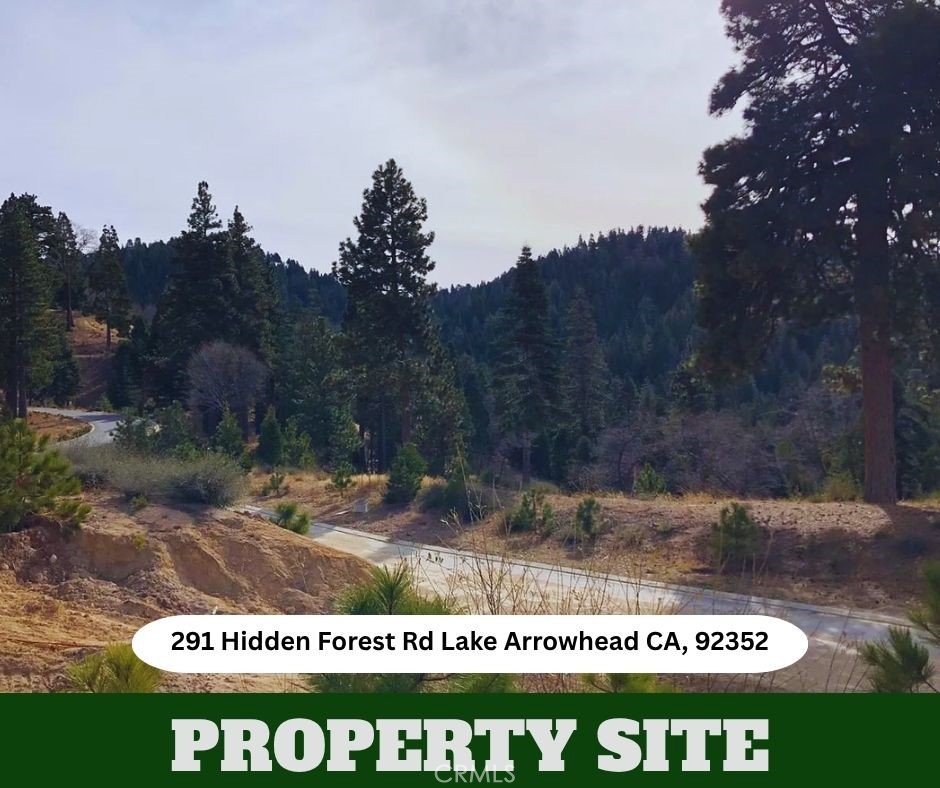 291 Hidden Forest Property Photo 5